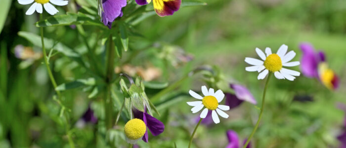 20220614-29143- - kopie