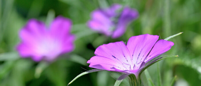 20220614-29164- - kopie